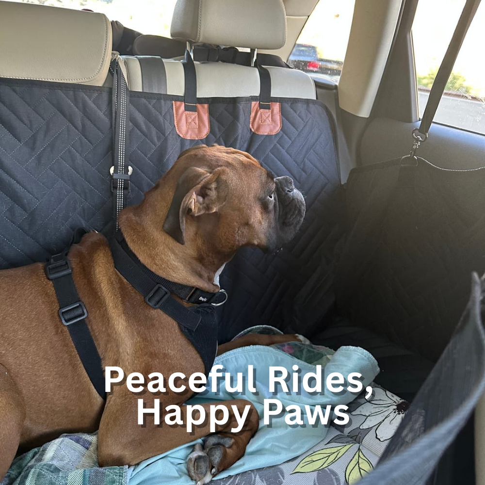 Lausca Calming Travel Treats